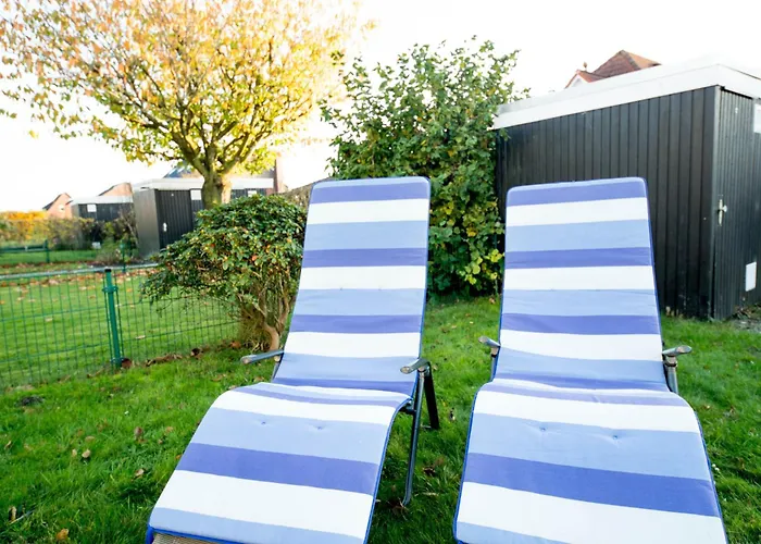 Daire Babsi's Moewennest *