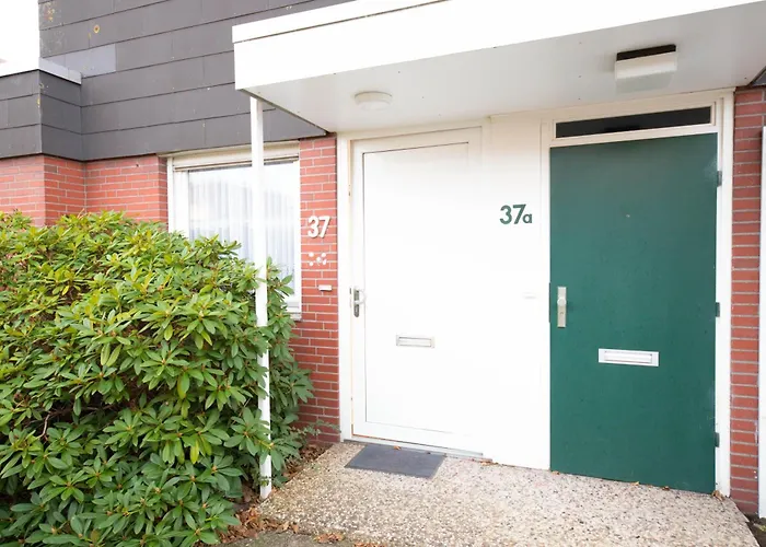 Babsi's Moewennest * Schillig