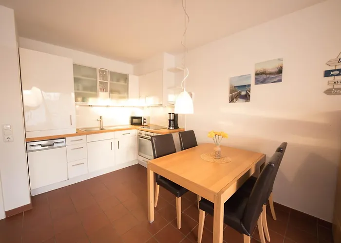 Daire Babsi's Moewennest