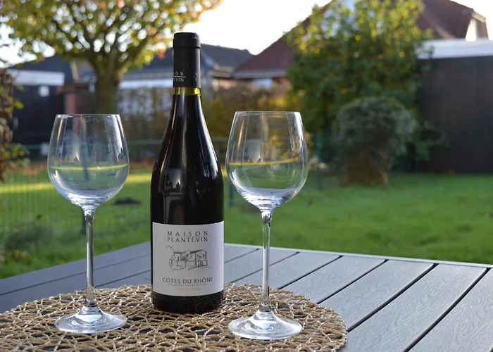 Babsi's Moewennest Schillig